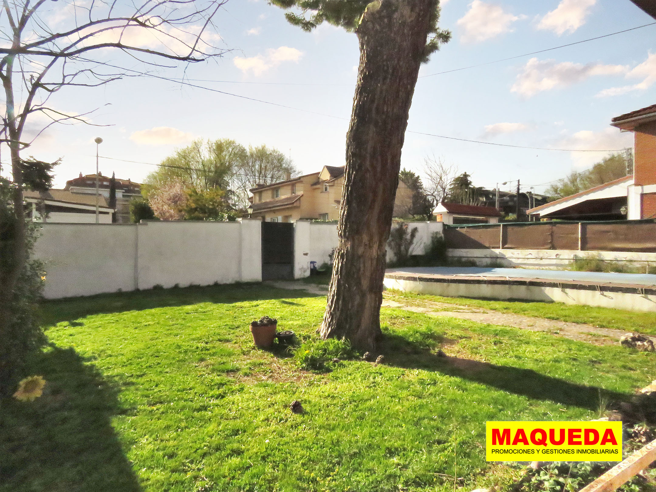 Jardín del chalet en venta en Majadahonda con pino