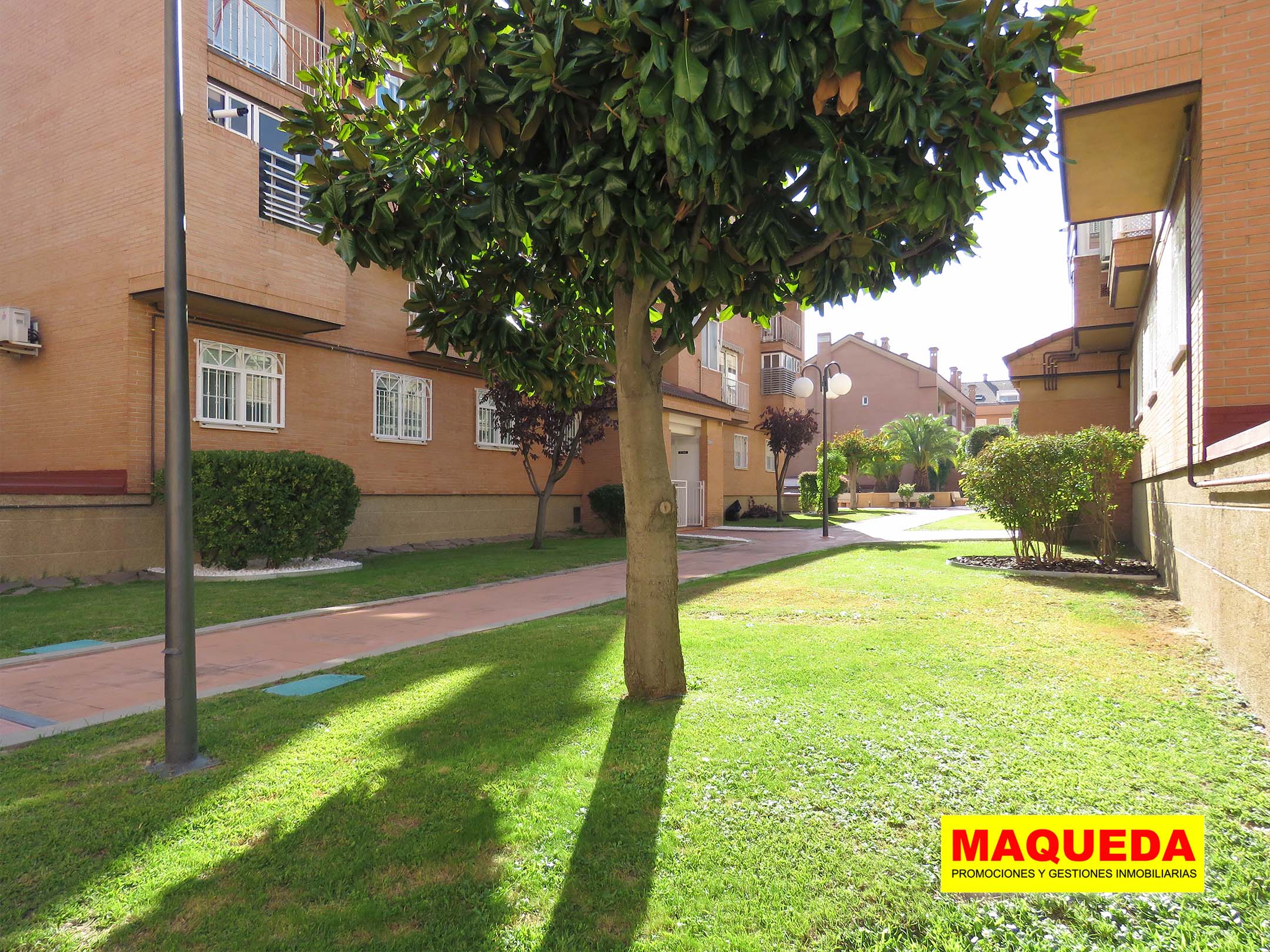 Zonas verdes del dúplex en venta en Prado Santo Domingo de Alcorcón