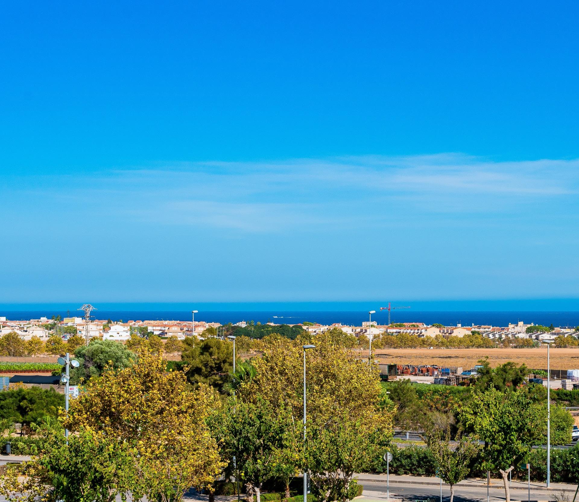 Coastal town below a clear blue sky with the sea on the horizon and construction cranes among buildings in the distance, seen from street level through trees.
