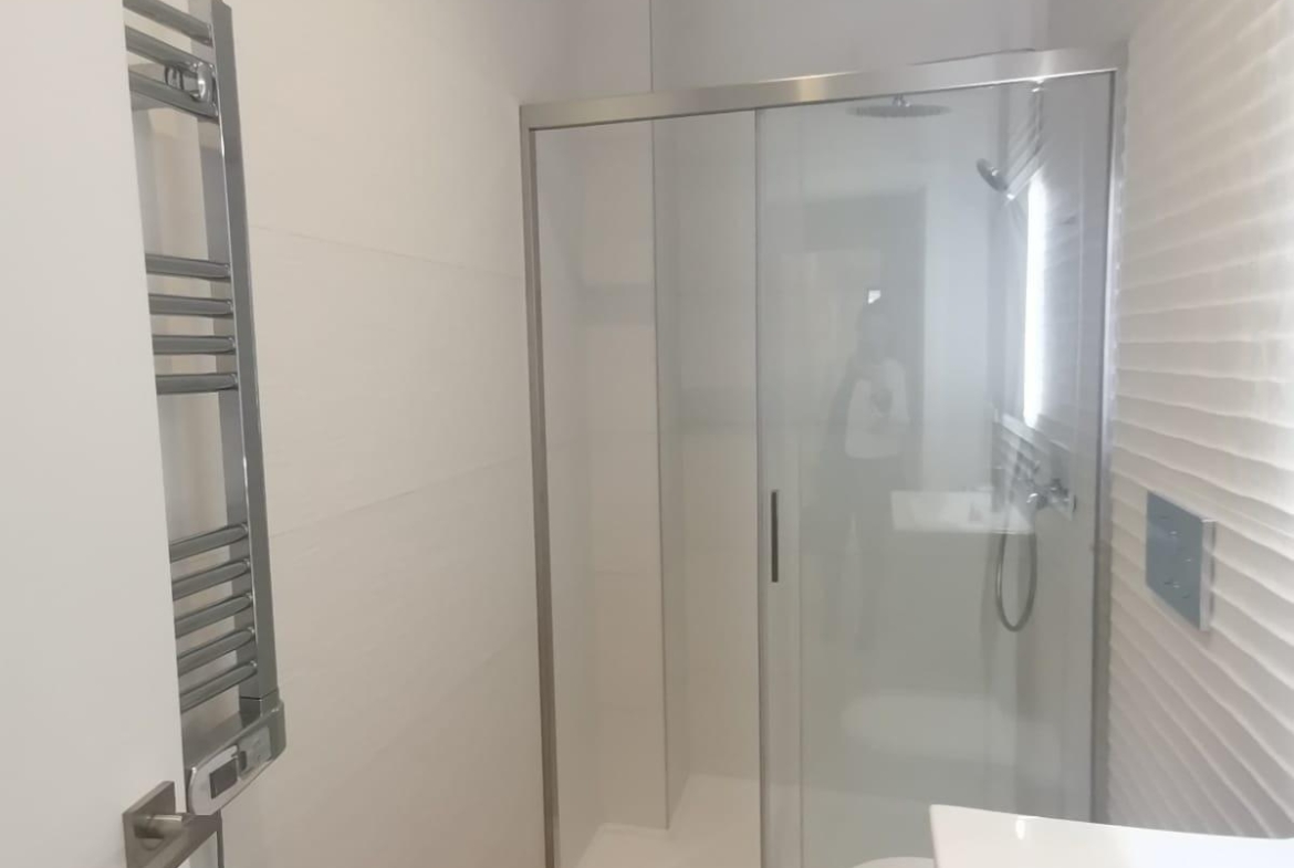 Modern bathroom with a glass-enclosed shower, towel warmer on the left, and a white vanity/sink area on the right.
