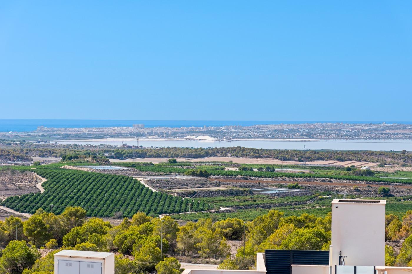 Wide landscape with vineyard rows in the foreground, a waterway beyond, and a distant city on the horizon under a clear blue sky.