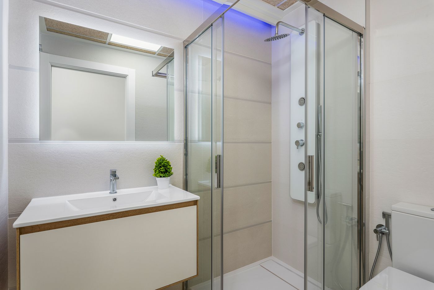 Modern bathroom with a glass-enclosed shower, white vanity, a small potted plant, and a toilet to the right.