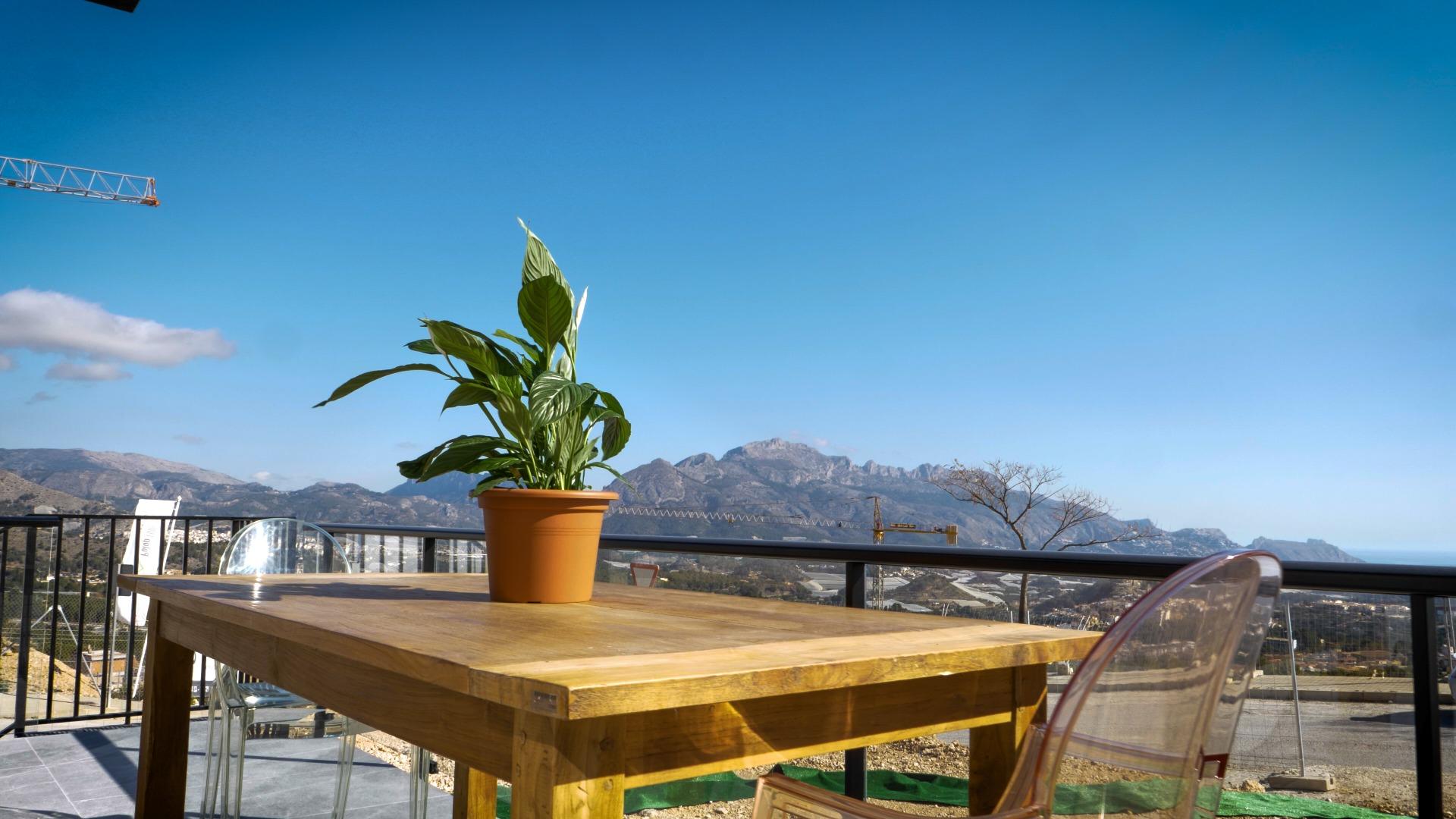 Potted plant on a wooden table on an outdoor terrace with mountains in the distance and a clear blue sky.