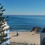 Coastal view of a sandy beach and calm blue sea, with white buildings on the left and a pine tree in the foreground.