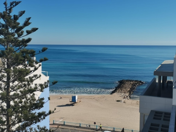 Coastal view of a sandy beach and calm blue sea, with white buildings on the left and a pine tree in the foreground.