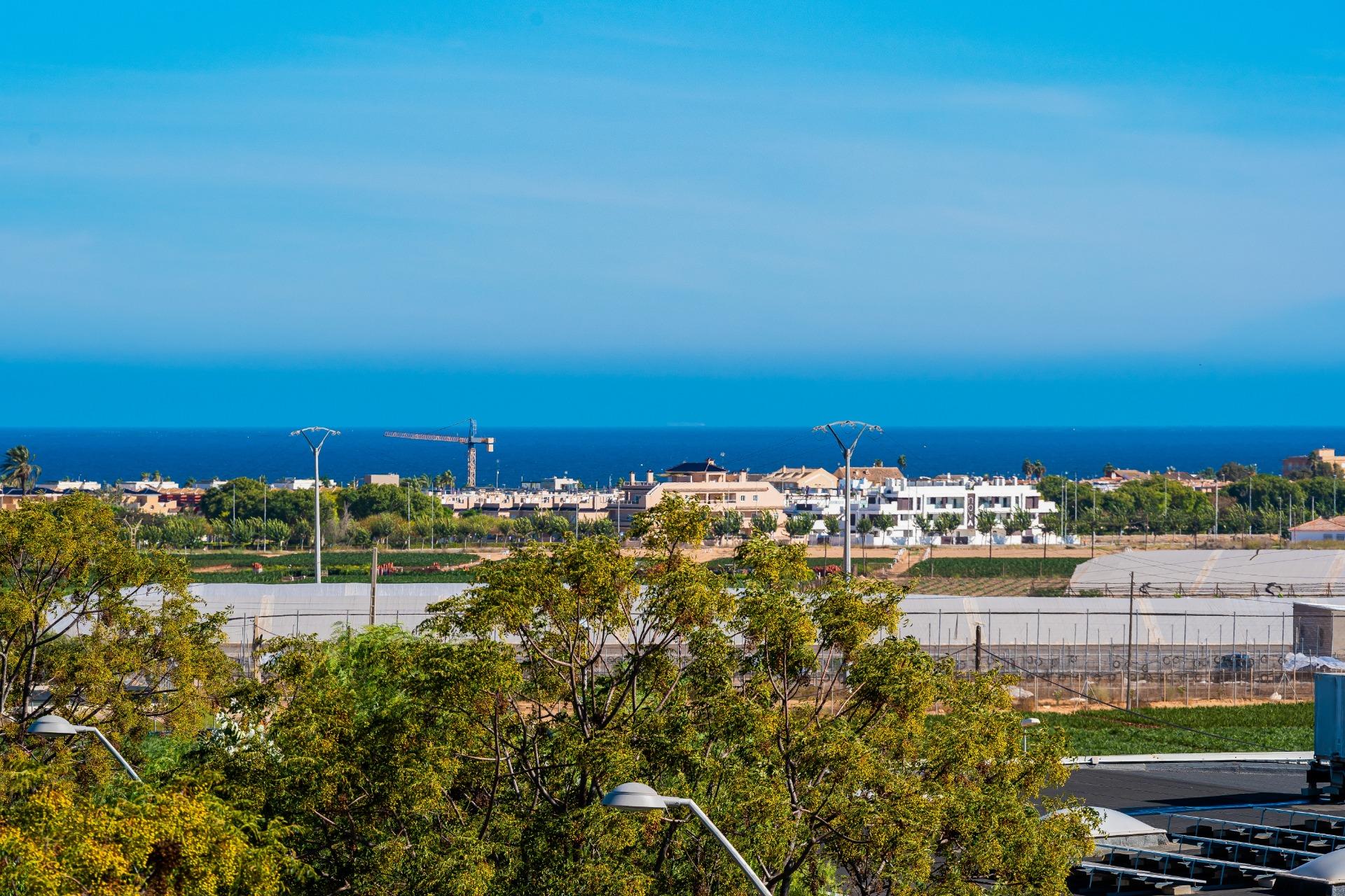 Coastal city skyline under a bright blue sky, with a construction crane and low-rise buildings, seen through trees in the foreground.
