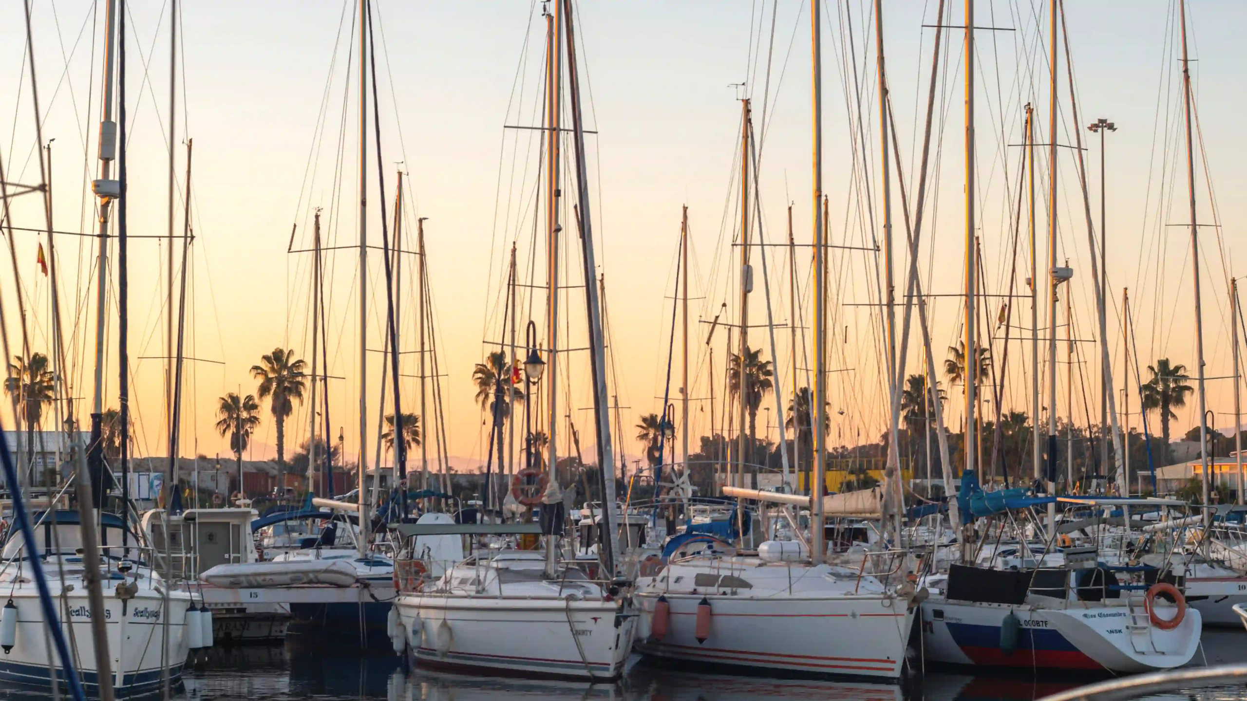 Sunset over a crowded marina with numerous sailboats and tall masts reflected in calm water, palm trees in the distance.