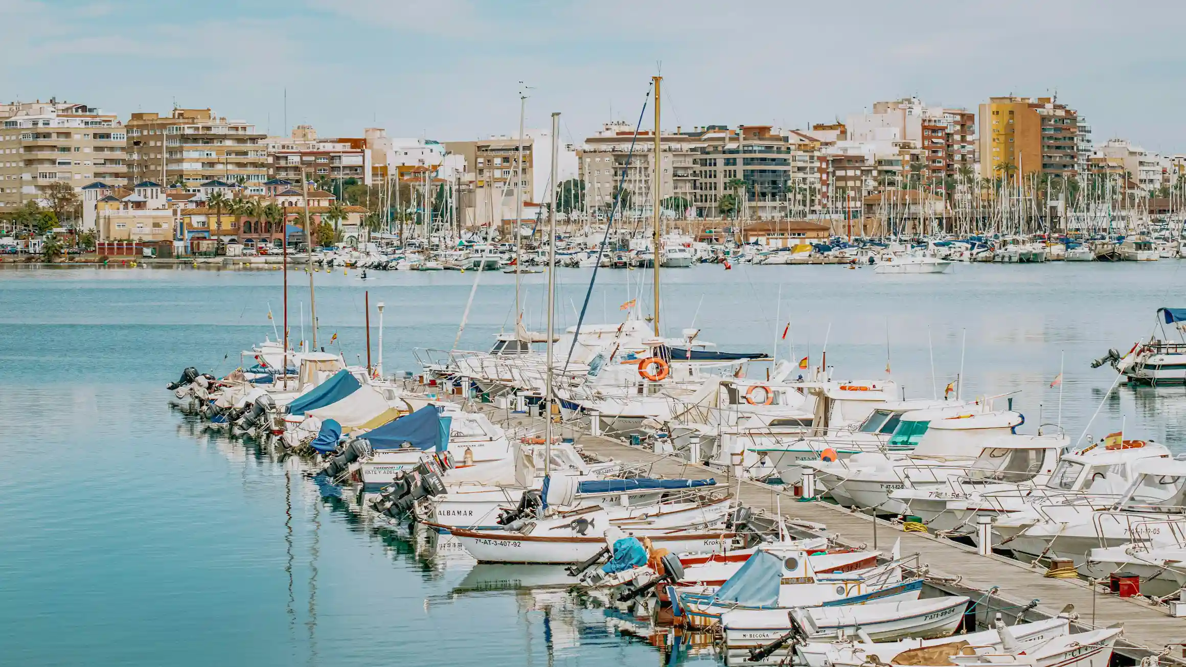 Harbor scene with dozens of boats docked at a marina and a city waterfront in the background.