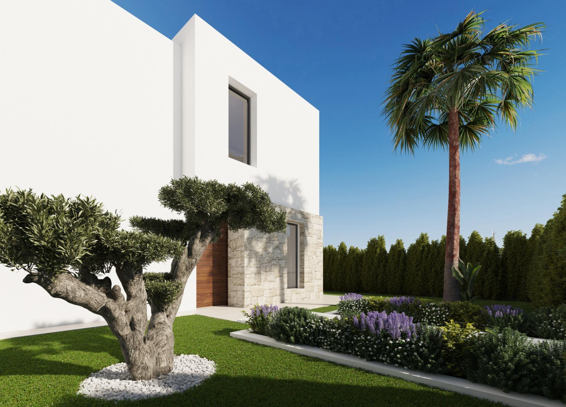 Modern white house with stone accents, wooden door, and landscaped front yard under a clear blue sky with a palm tree nearby