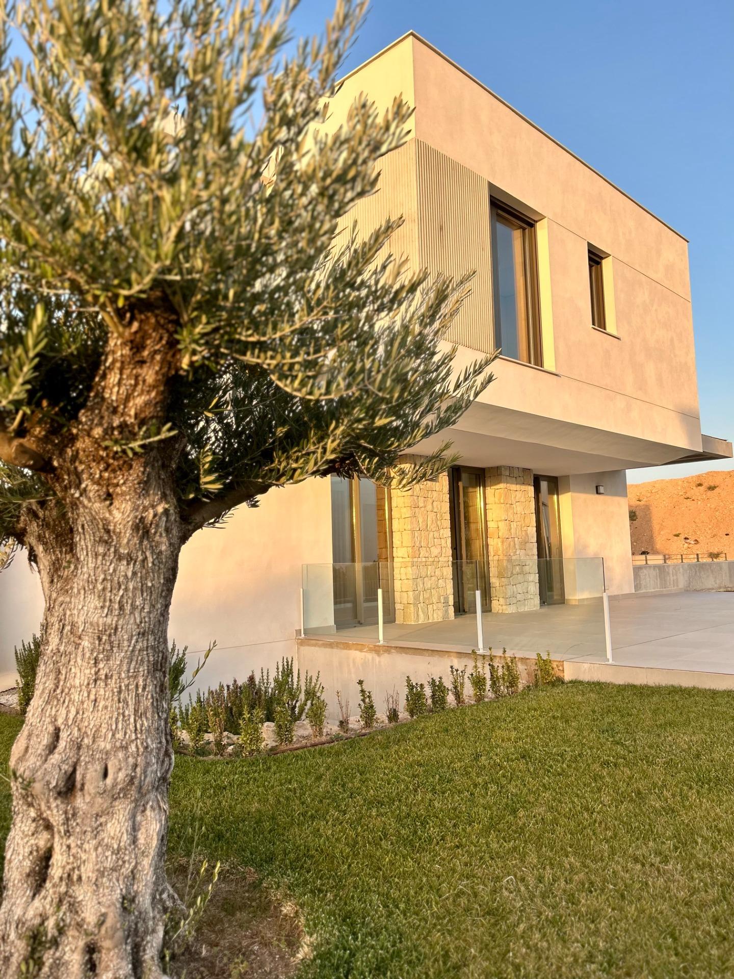 Modern two-story house with beige stucco walls, stone columns, glass railing, and an olive tree in the foreground.
